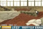 辣椒價格暴漲 去年辣椒減產導致供不應求