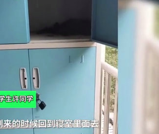 宿舍柜子孵出小鳥