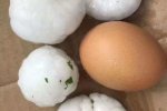 甘肅平涼下冰雹 大如雞蛋