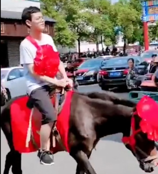 男生錄取北大騎馬戴紅花返鄉