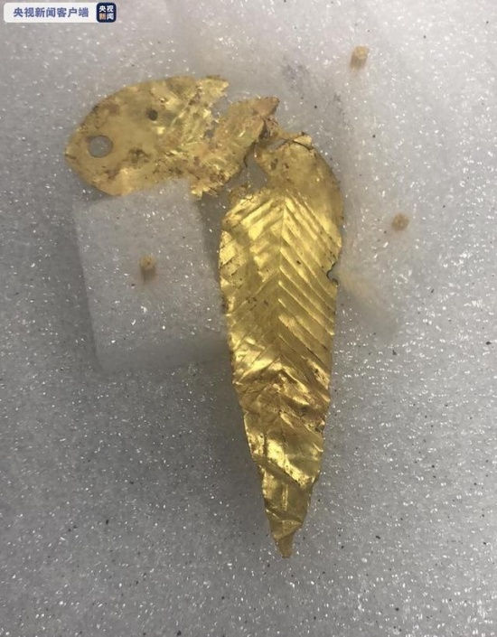 三星堆8號(hào)坑陸續(xù)發(fā)現(xiàn)近60件金葉