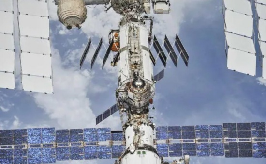 “多頭絨泡菌”黏菌將飛向太空進(jìn)駐空間站