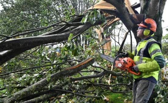 法國風暴極光造成25萬多戶家庭停電