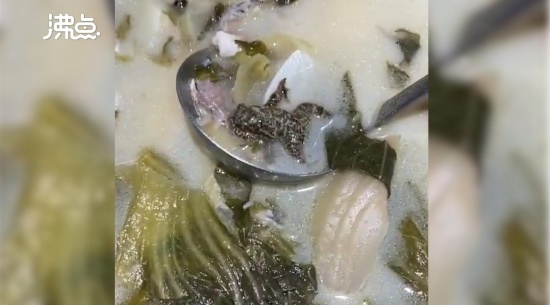 女子吃酸菜魚吃出一整只癩蛤蟆