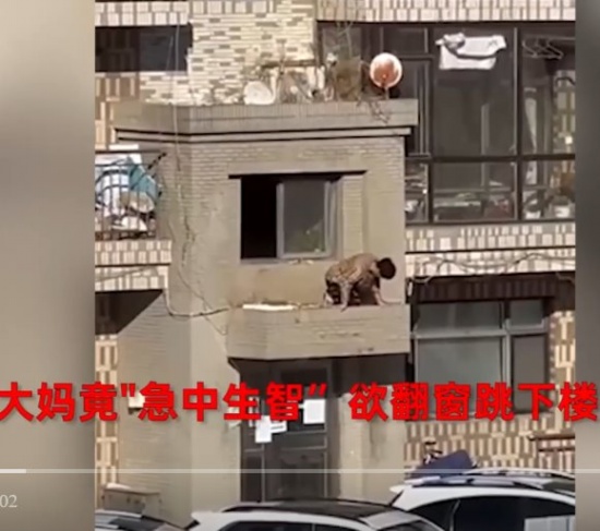 小區被封大媽欲翻窗跳樓出門