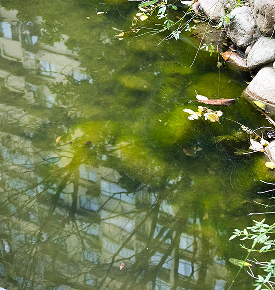 溫州永嘉甌北鉑晶嘉園新換的物業公司更差