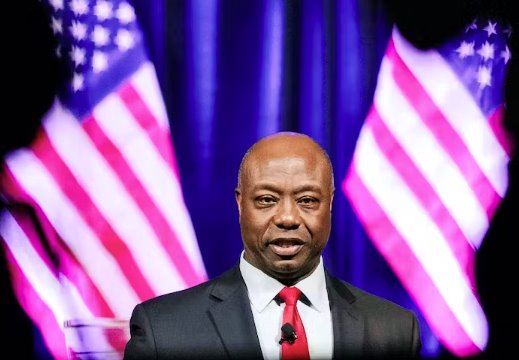 美國參議院唯一黑人共和黨人蒂姆·斯科特放棄競選