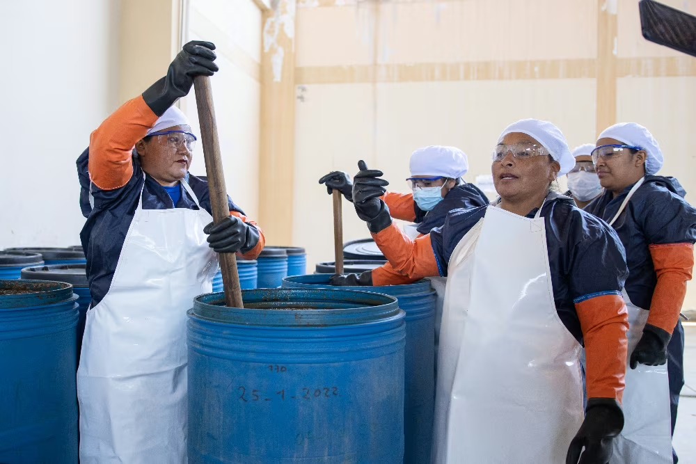 來自APROBIOSPECC的婦女，這是一個將魚類廢物轉化為生物肥料的協會。