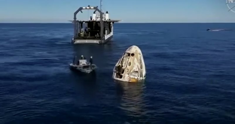 宇航員受到海豚歡迎的視頻在網上瘋傳