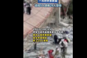 新疆一景區(qū)吊橋橋索斷裂致5死24傷