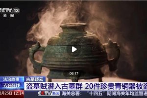 男子看小說學(xué)盜墓挖走20余件國寶被抓