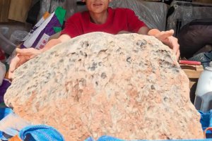 墜落廣東的火流星被