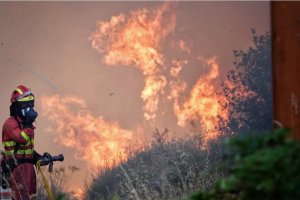 歐洲野火造成的碳排放對