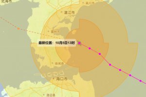 廣東省委副書記：迅速進