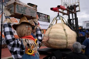 美國一男子種出一個