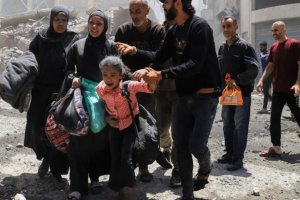 加沙?；鹦蝿輫谰?以