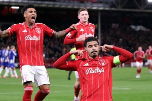 諾丁漢森林教練肖恩